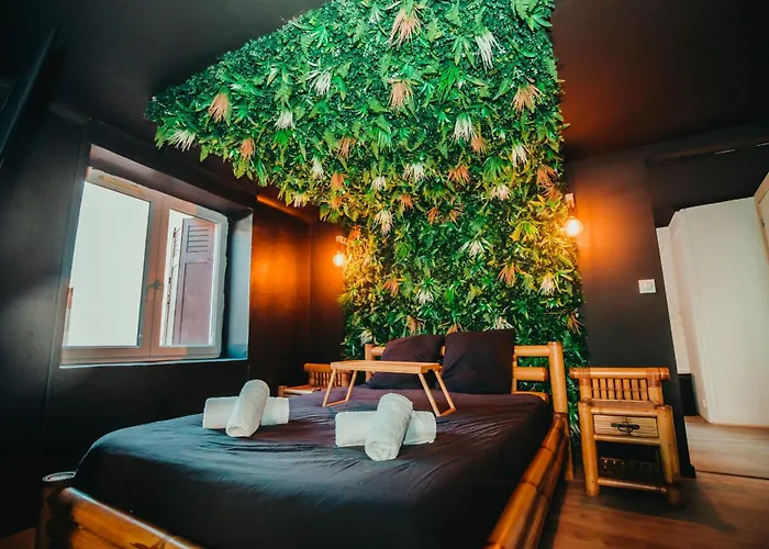Suite Jungle